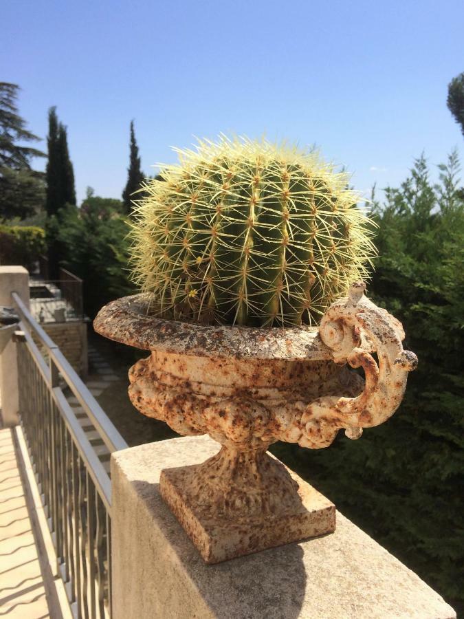 Bed and Breakfast Lousoan Aix-en-Provence Esterno foto