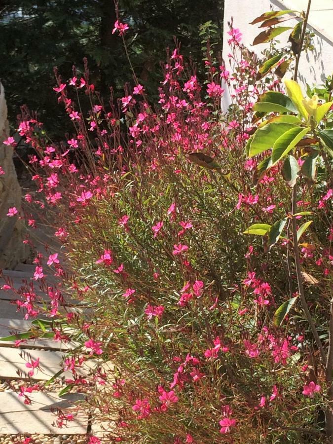 Bed and Breakfast Lousoan Aix-en-Provence Esterno foto