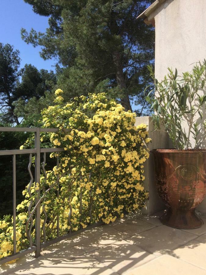 Bed and Breakfast Lousoan Aix-en-Provence Esterno foto